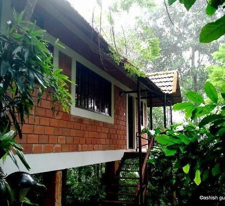 Coffee Acres Plantation Resort 칼파타 외부 사진