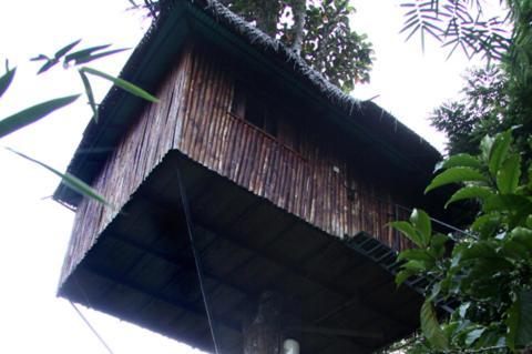 Coffee Acres Plantation Resort 칼파타 객실 사진